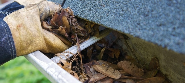 Remove debris from your homes gutters to protect your roof from moisture.