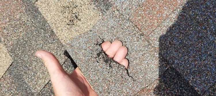 Hail damage found on a Oklahoma roof during a free roof hail inspection.