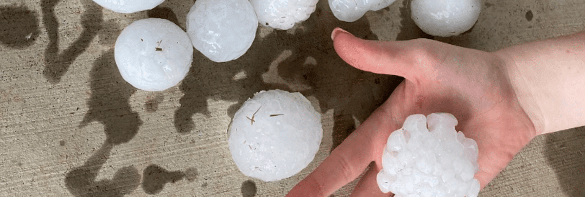 Actual hail stones from a summer storm in Yukon, Oklahoma