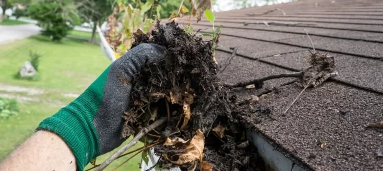 Clean your homes gutters to prepare for Fall.
