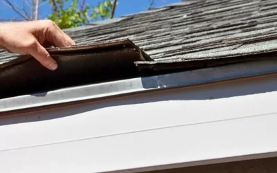 Spring Roof Care: Professional Guidelines and Recommendations