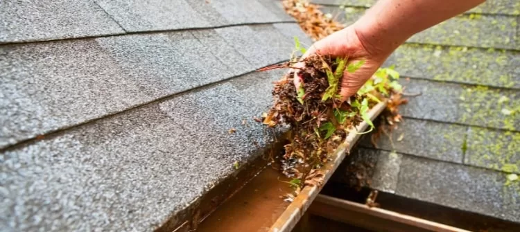 Cleaning out gutters is one of the most important springtime roof maintenance tips.