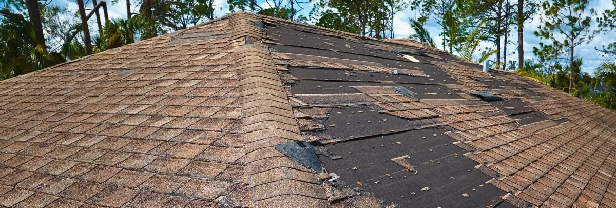 A visual guide indicating signs of needing a new roof, including damaged shingles and leaks, to assist homeowners in making informed decisions.